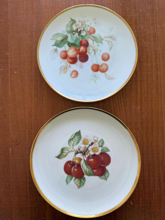 Vintage Decorative Plates-set of two